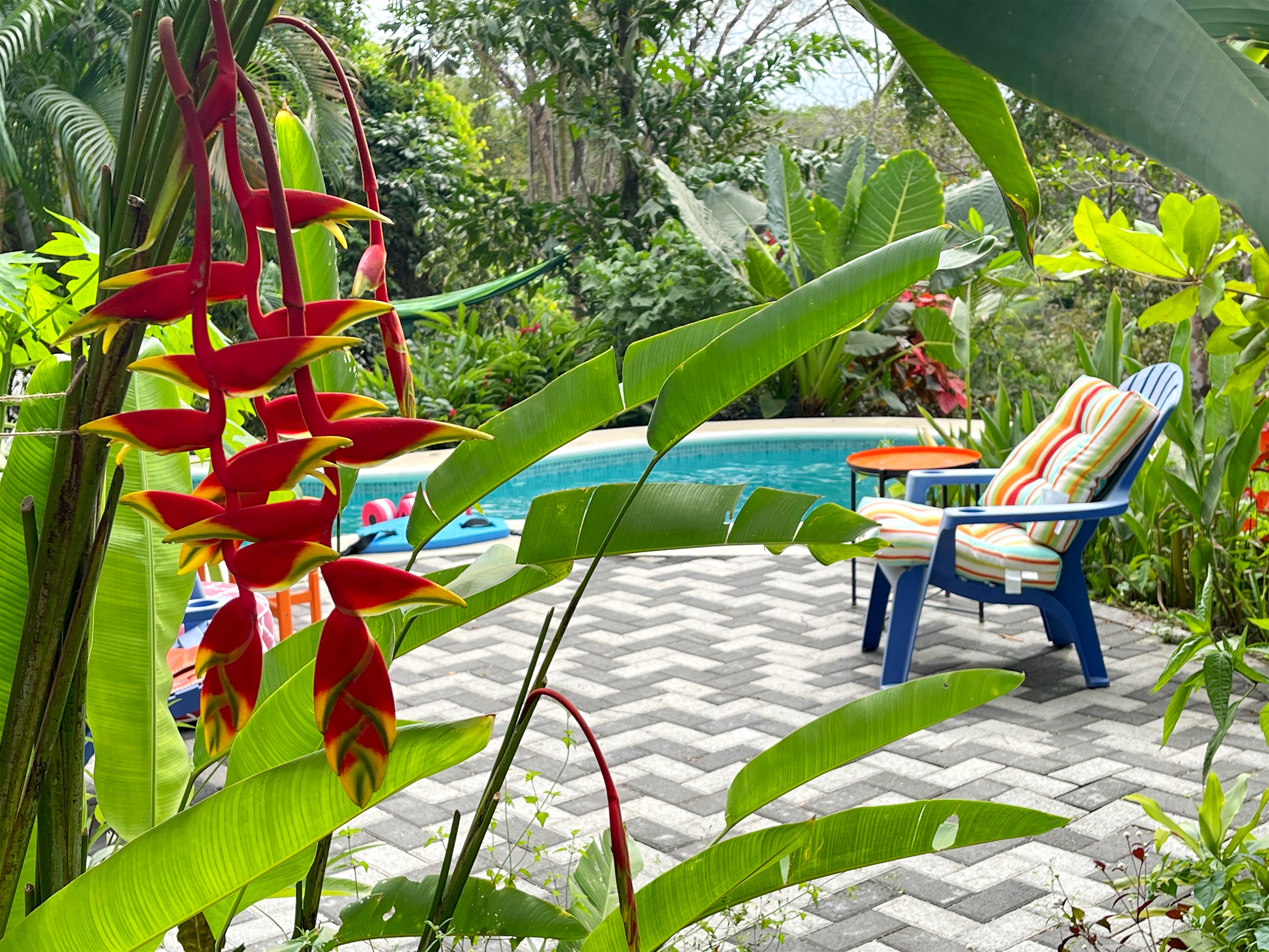 2 bed Single Family Homes For Sale in Samara, Guanacaste - thumb 12