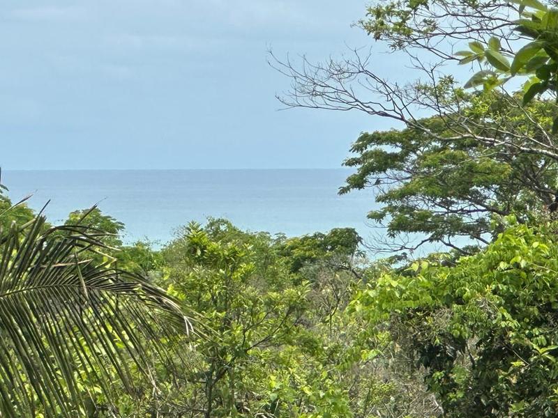 0 bed Land For Sale in Playa Hermosa Santa Teresa, Puntarenas - 1