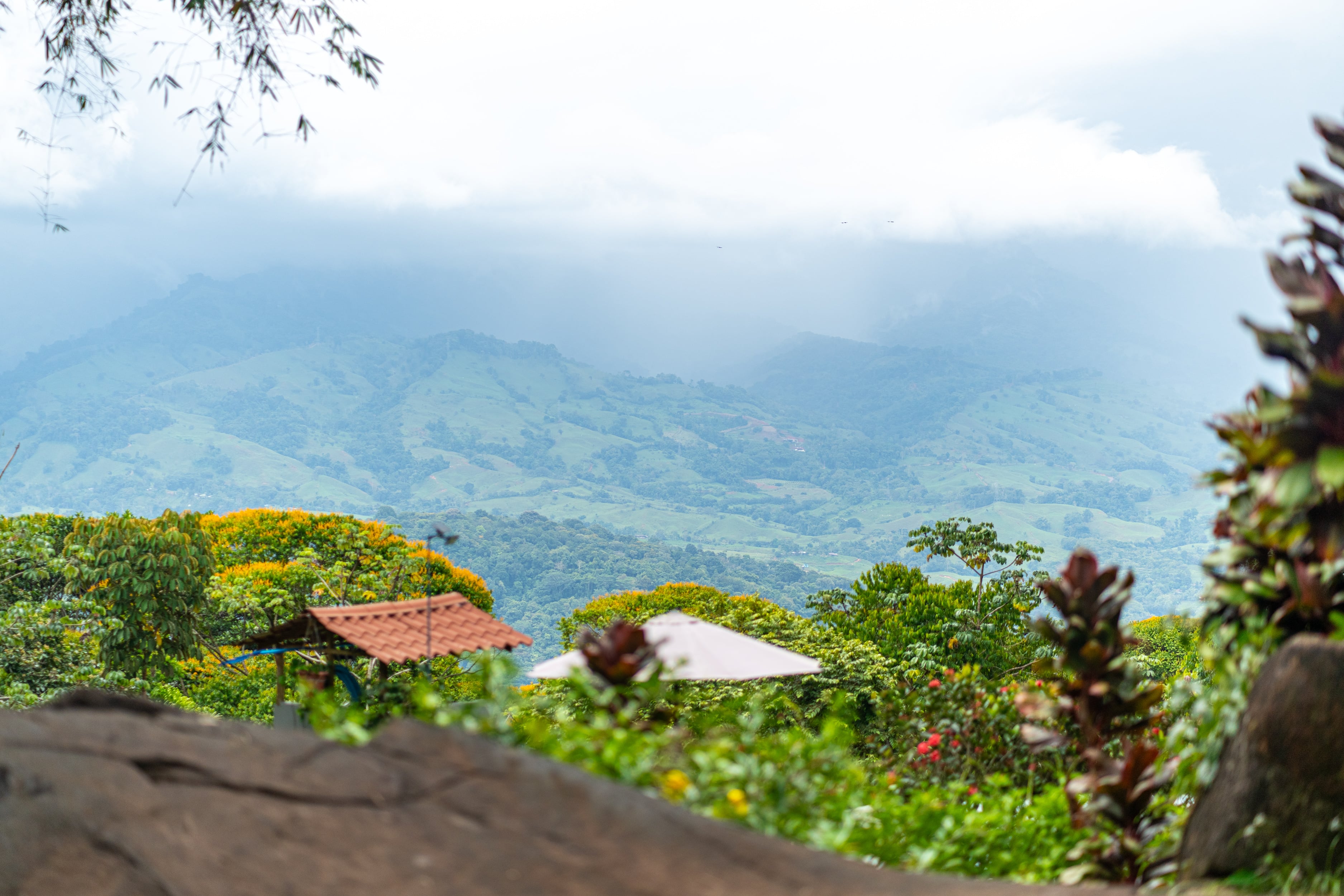 4 bed Hotel / Leisure For Sale in Dominical, Puntarenas - thumb 23