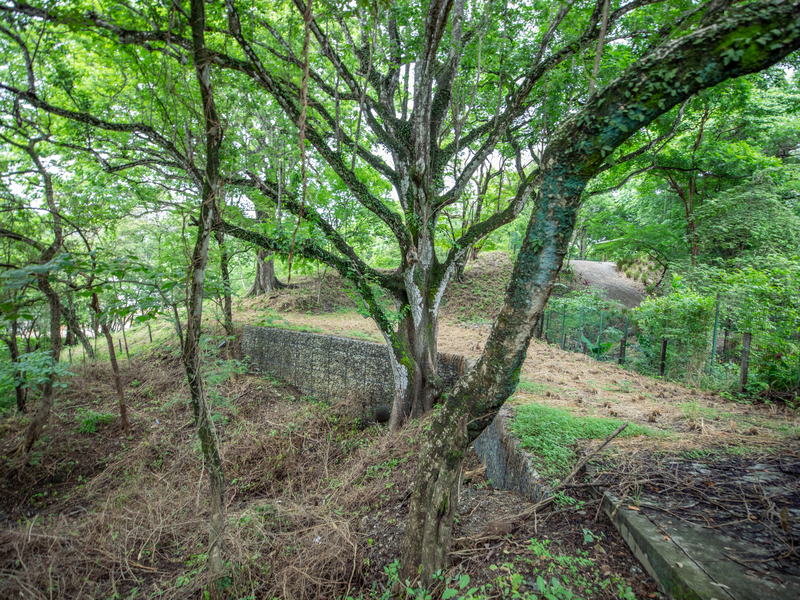 0 bed Land For Sale in Nosara, Guanacaste - 1