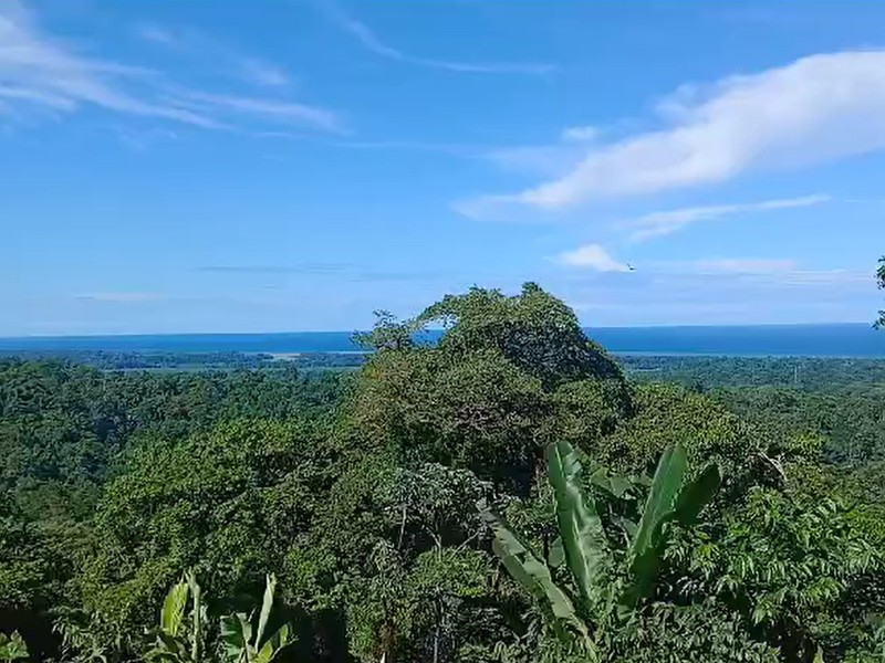 0 bed Land For Sale in Cahuita, Limón - 1