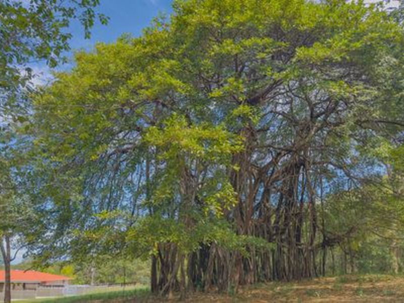 0 bed Land For Sale in Hermosa, Guanacaste - 1