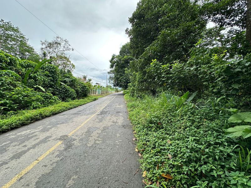 0 bed Land For Sale in Puerto Viejo, Limón - 1
