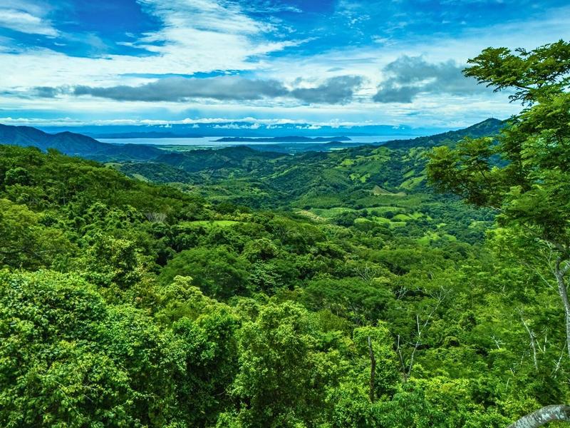 0 bed Land For Sale in Hojancha, Guanacaste - 1