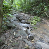  - Caracara Ridge Private Jungle Lot, Bordered by RiverLot #15