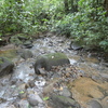  - Caracara Ridge Private Jungle Lot, Bordered by RiverLot #15