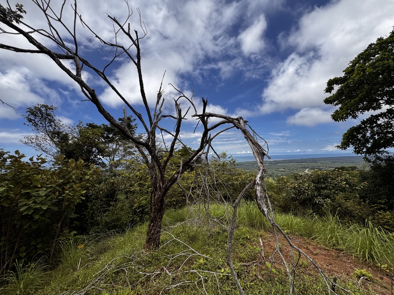 0 bed Land For Sale in Matapalo, Puntarenas - photo 15