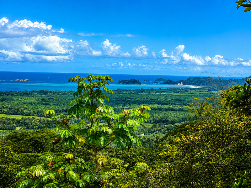 0 bed Land For Sale in Matapalo, Puntarenas - photo 2