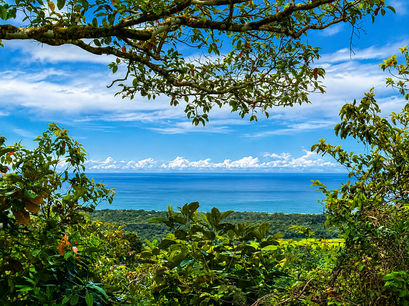 0 bed Land For Sale in Matapalo, Puntarenas - 1