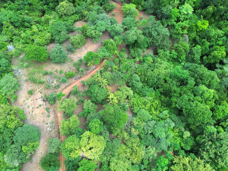 0 bed Land For Sale in Matapalo, Puntarenas - photo 11