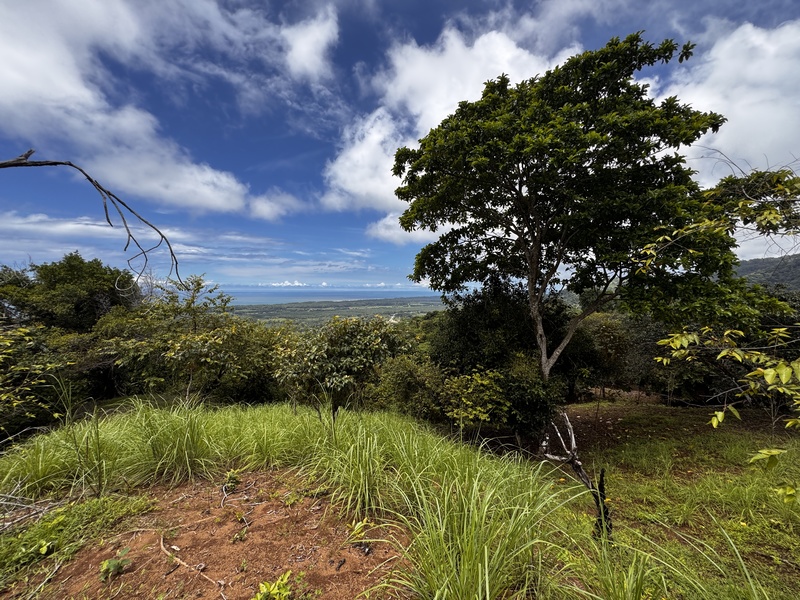 0 bed Land For Sale in Matapalo, Puntarenas - photo 16