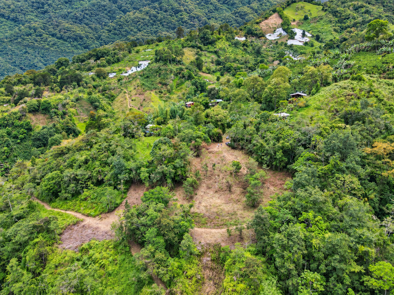 0 bed Land For Sale in Perez Zeledon, San Jose - 1