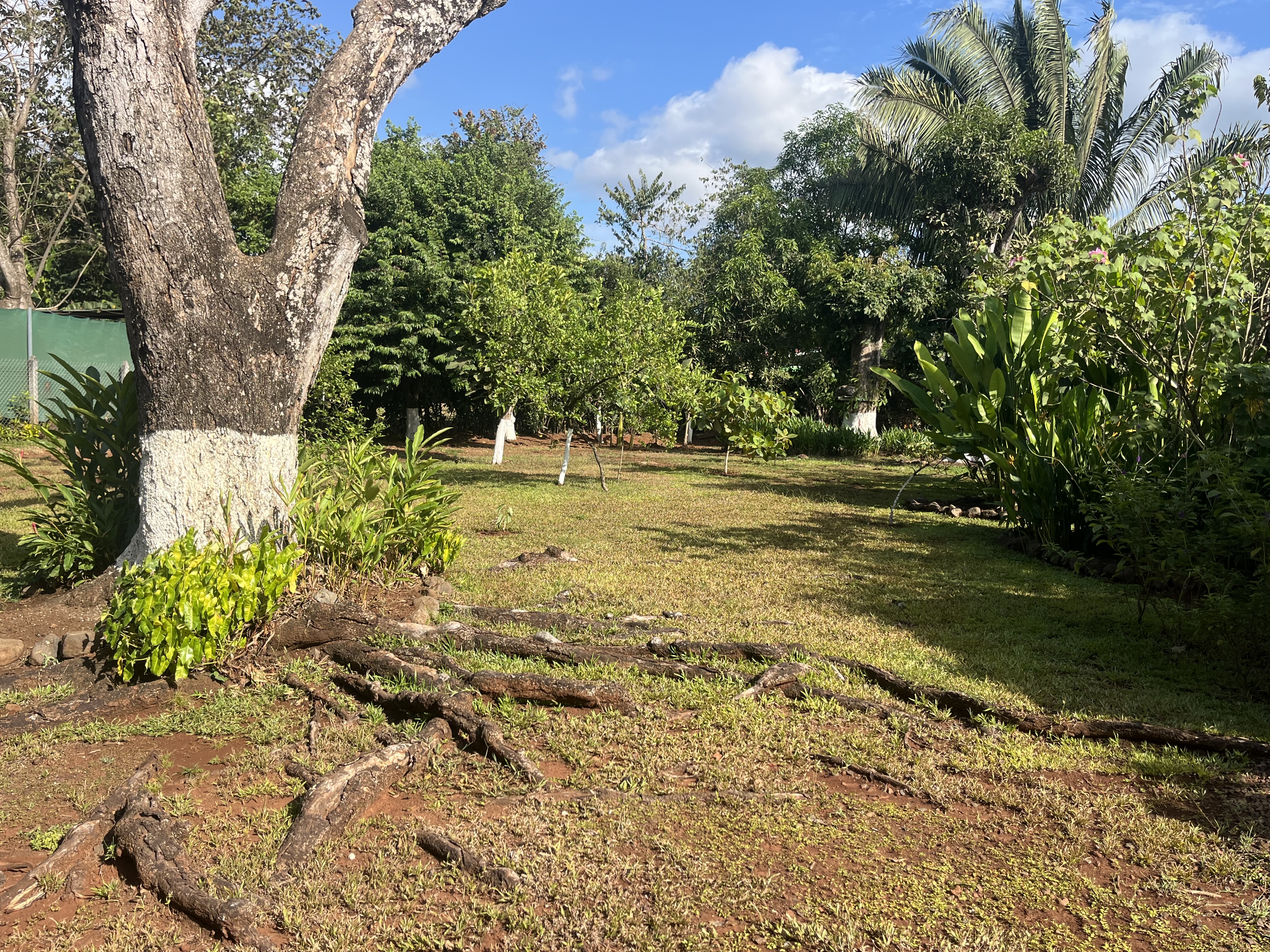 5 bed Single Family Homes For Sale in Playa Coyote, Guanacaste - thumb 5