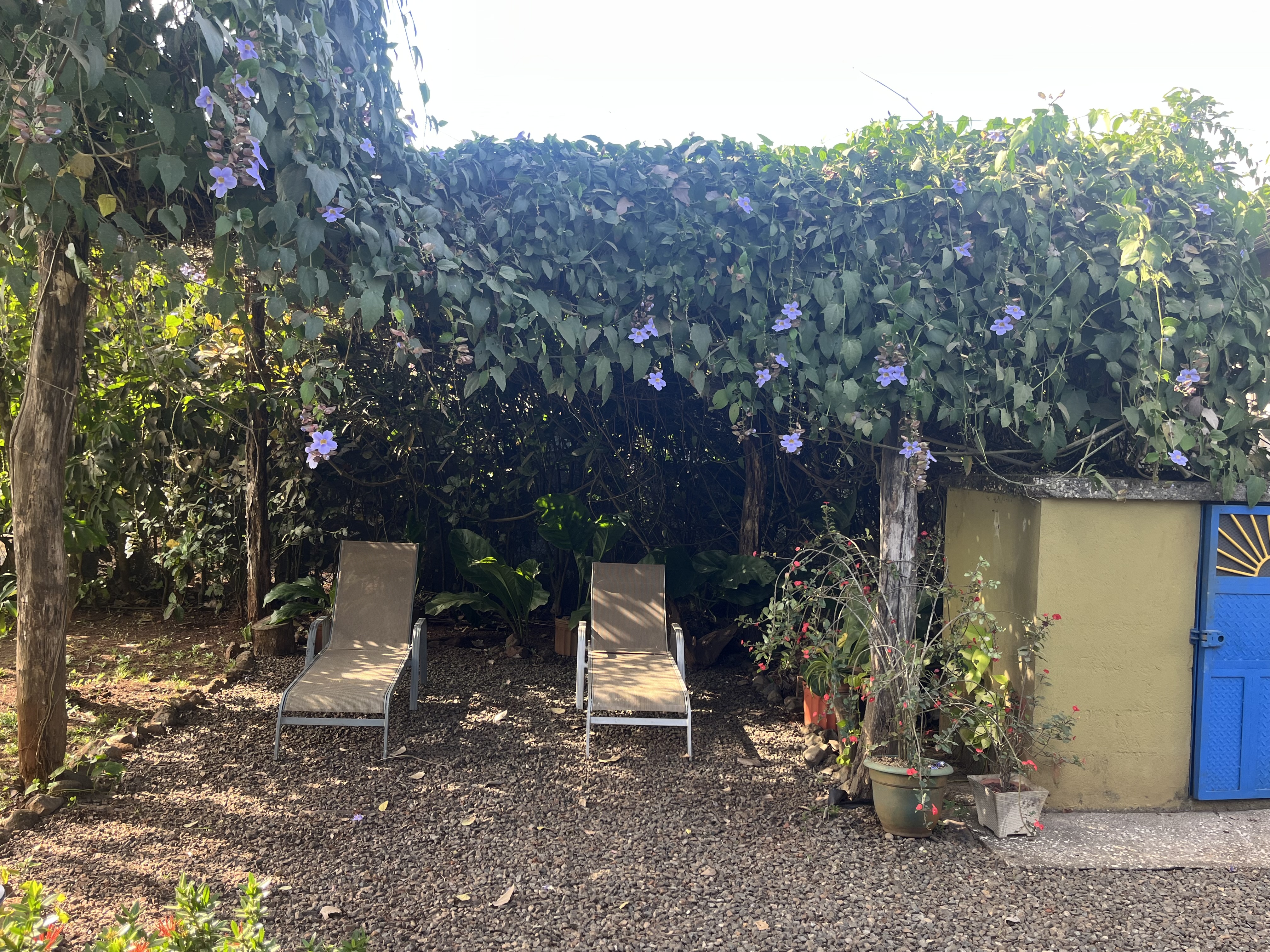 5 bed Single Family Homes For Sale in Playa Coyote, Guanacaste - thumb 28