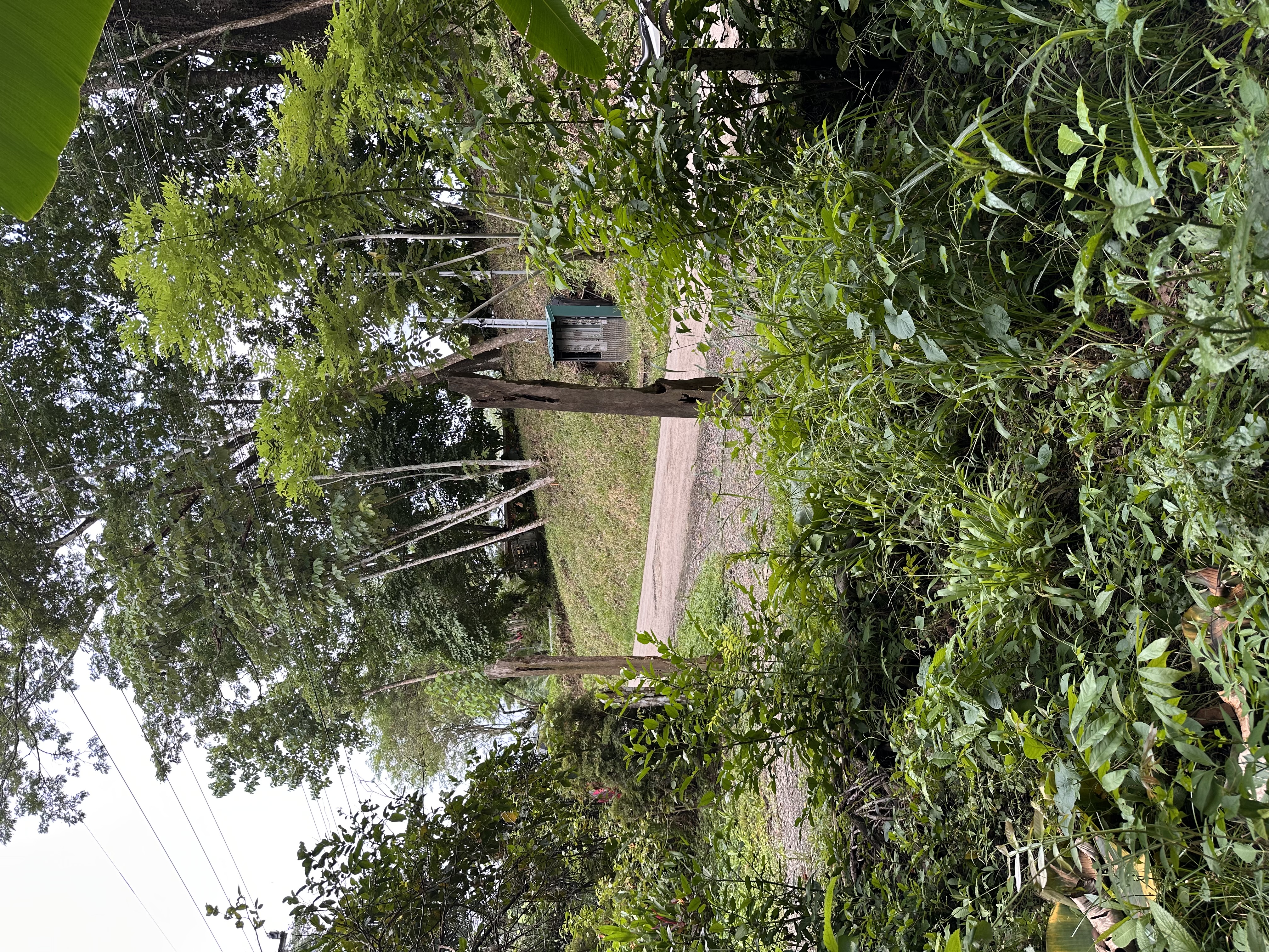 0 bed Land For Sale in Manzanillo, Puntarenas - thumb 6