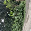  - Manzanillo Commercial Opportunity
