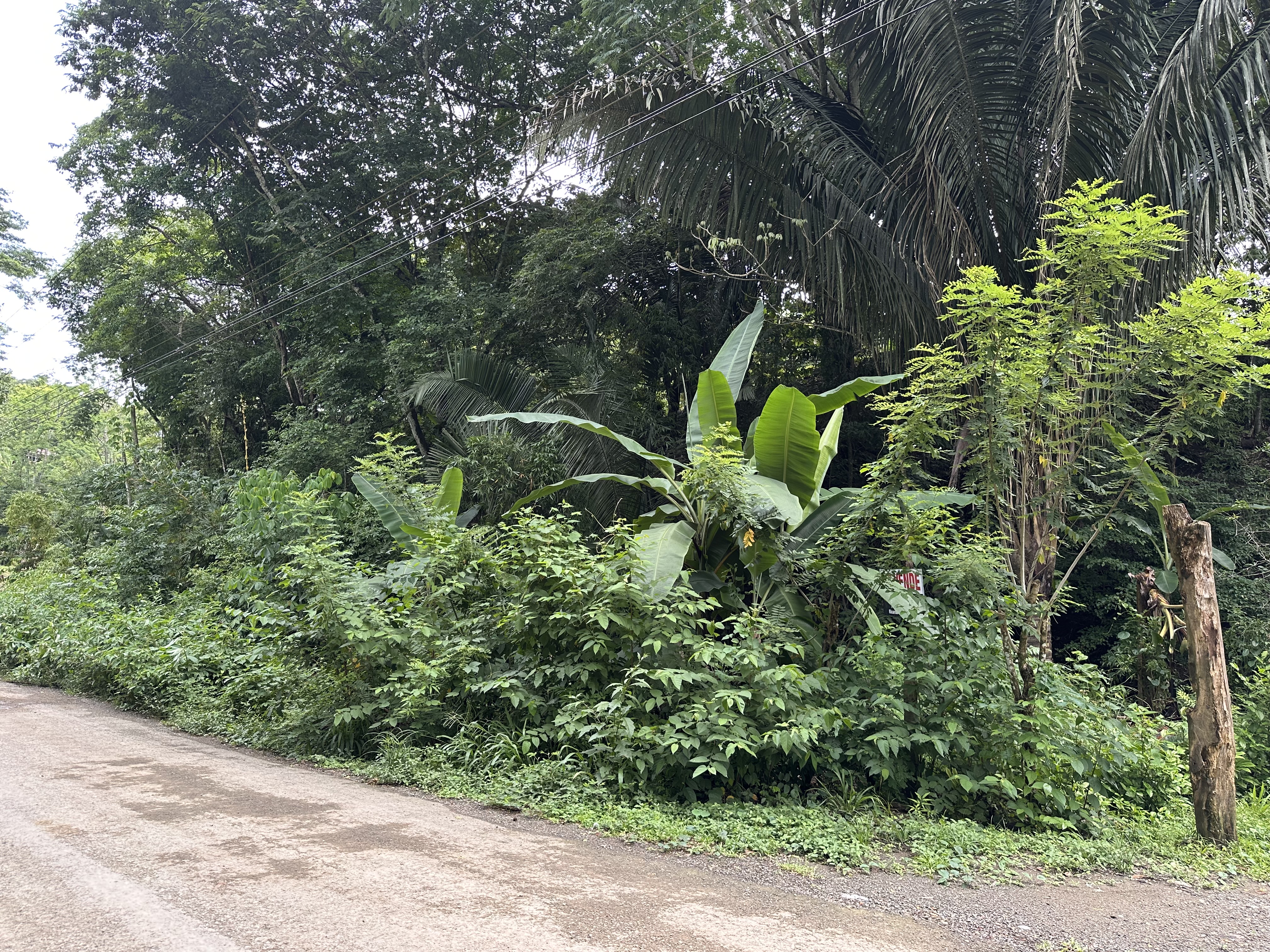 0 bed Land For Sale in Manzanillo, Puntarenas - thumb 7