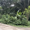  - Manzanillo Commercial Opportunity