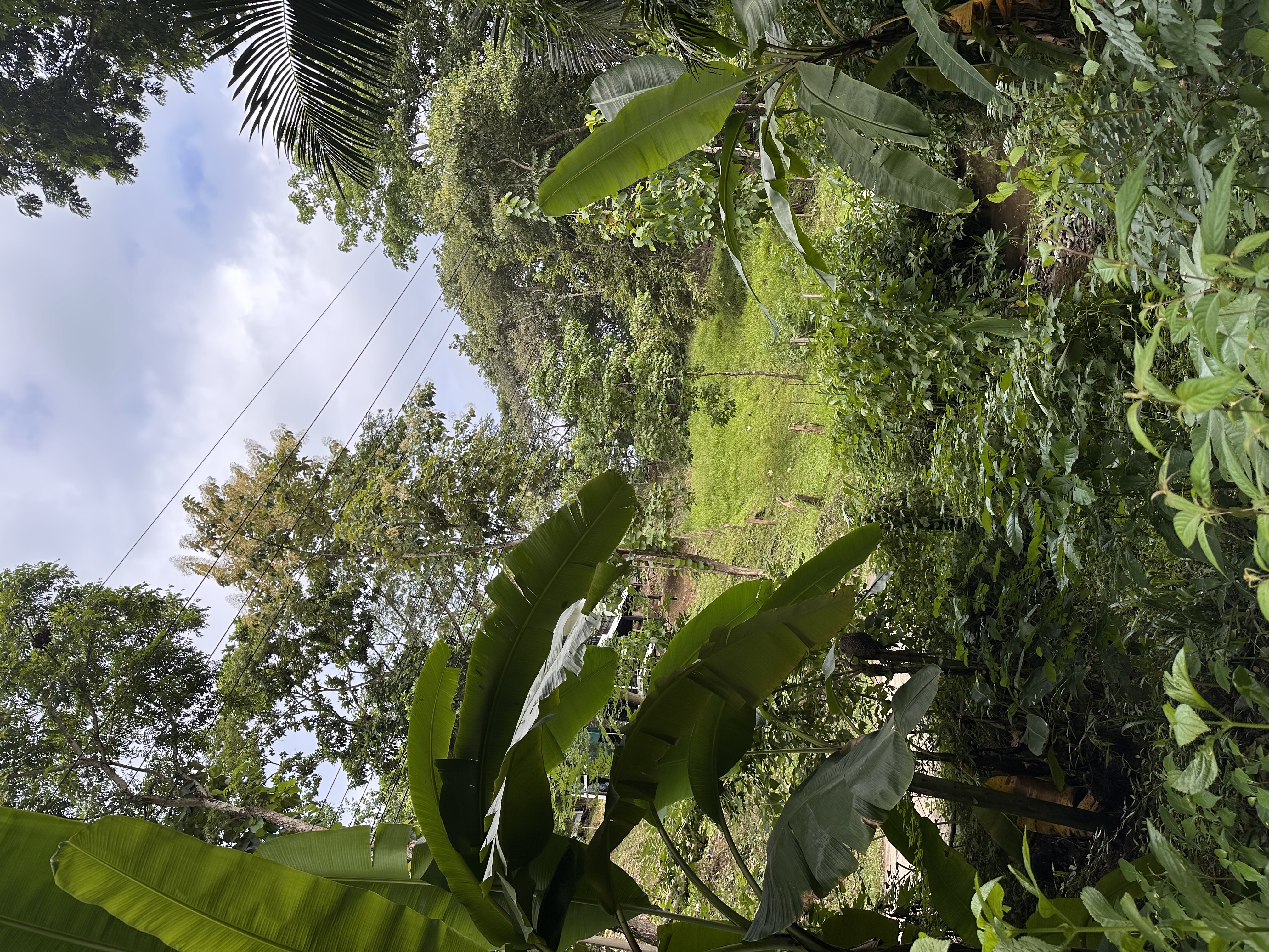 0 bed Land For Sale in Manzanillo, Puntarenas - thumb 5