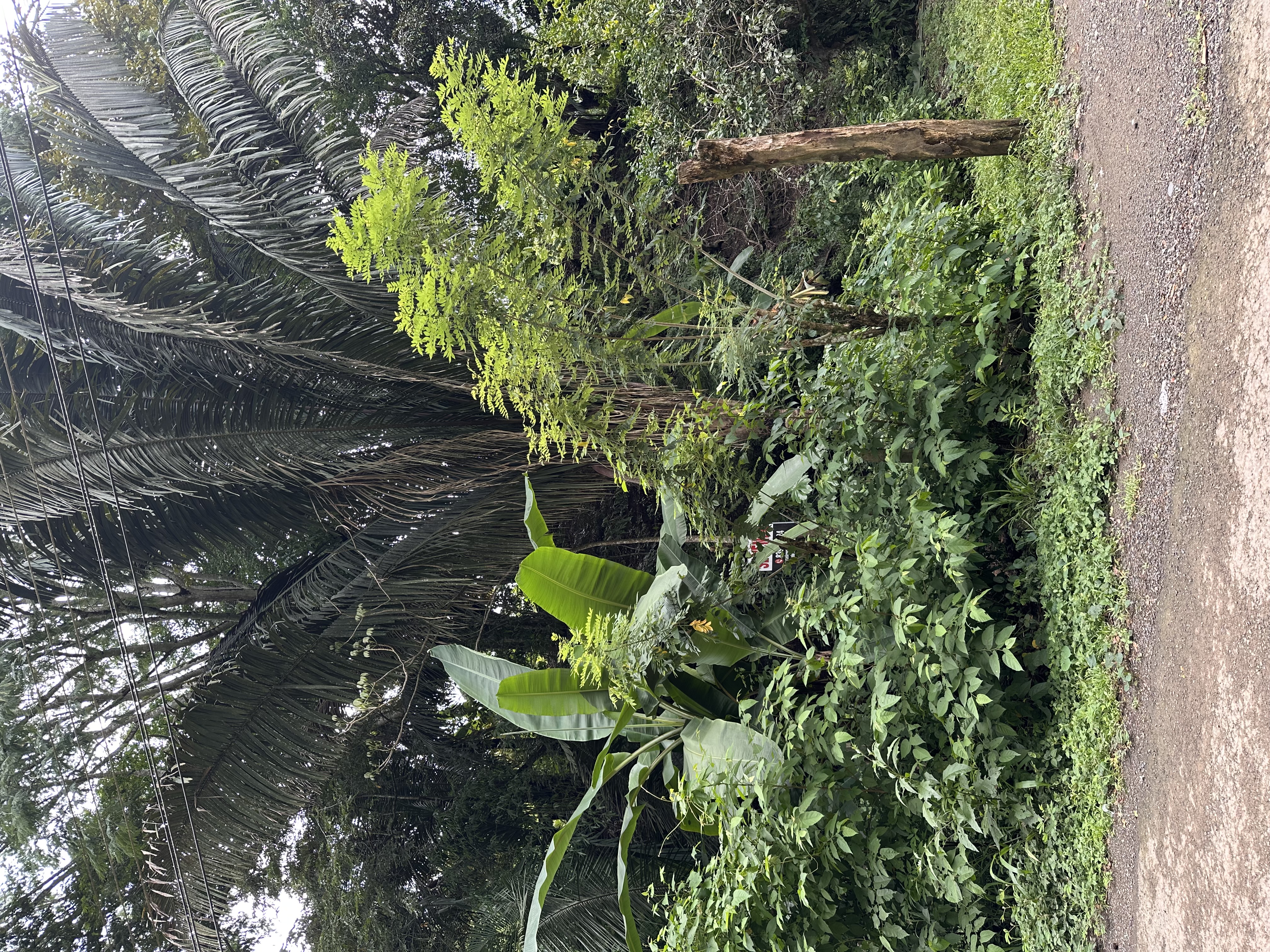 0 bed Land For Sale in Manzanillo, Puntarenas - thumb 2