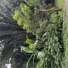  - Manzanillo Commercial Opportunity