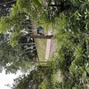  - Manzanillo Commercial Opportunity