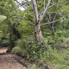  - Manzanillo top location. River and beach just minutes away.