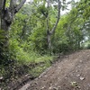  - Manzanillo top location. River and beach just minutes away.