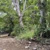  - Manzanillo top location. River and beach just minutes away.