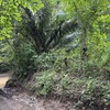  - Manzanillo top location. River and beach just minutes away.