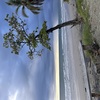  - Manzanillo top location. River and beach just minutes away.