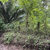  - Manzanillo top location. River and beach just minutes away.