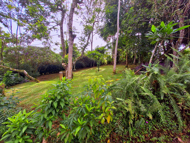 3 bed Single Family Homes For Sale in Perez Zeledon, San Jose - hero 23