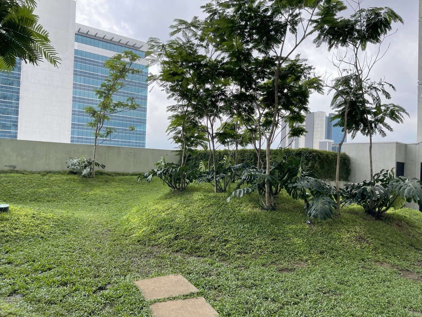 1 bed Apartment For Sale in La Sabana, San Jose - thumb 24