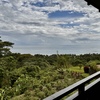  - Live the Beach Life - Prime Condo Close to Everything