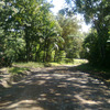  - Great Lot Near The Beach And Halfway Between Pilon And Pavones