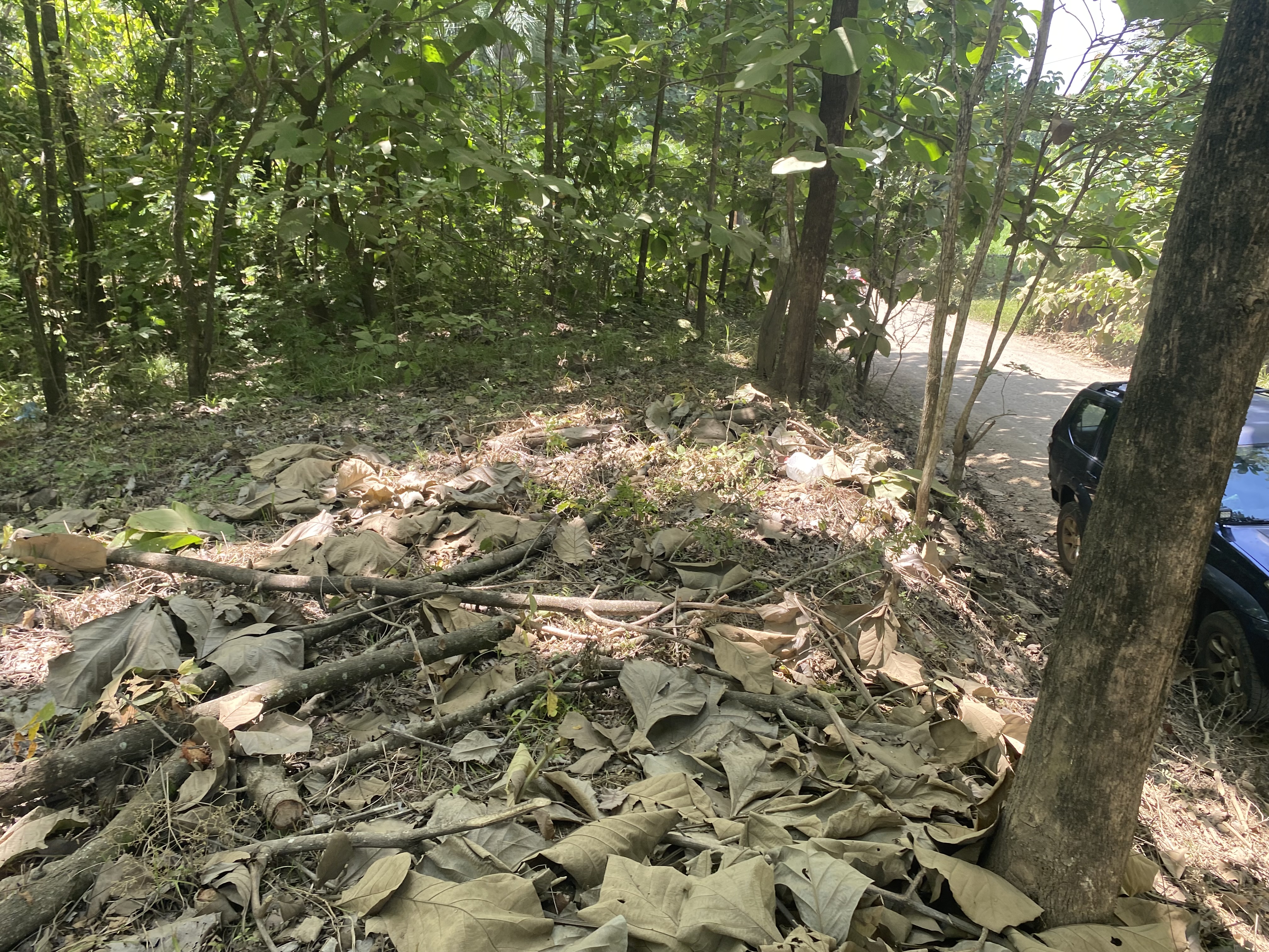 0 bed Land For Sale in Marbella, Guanacaste - thumb 11