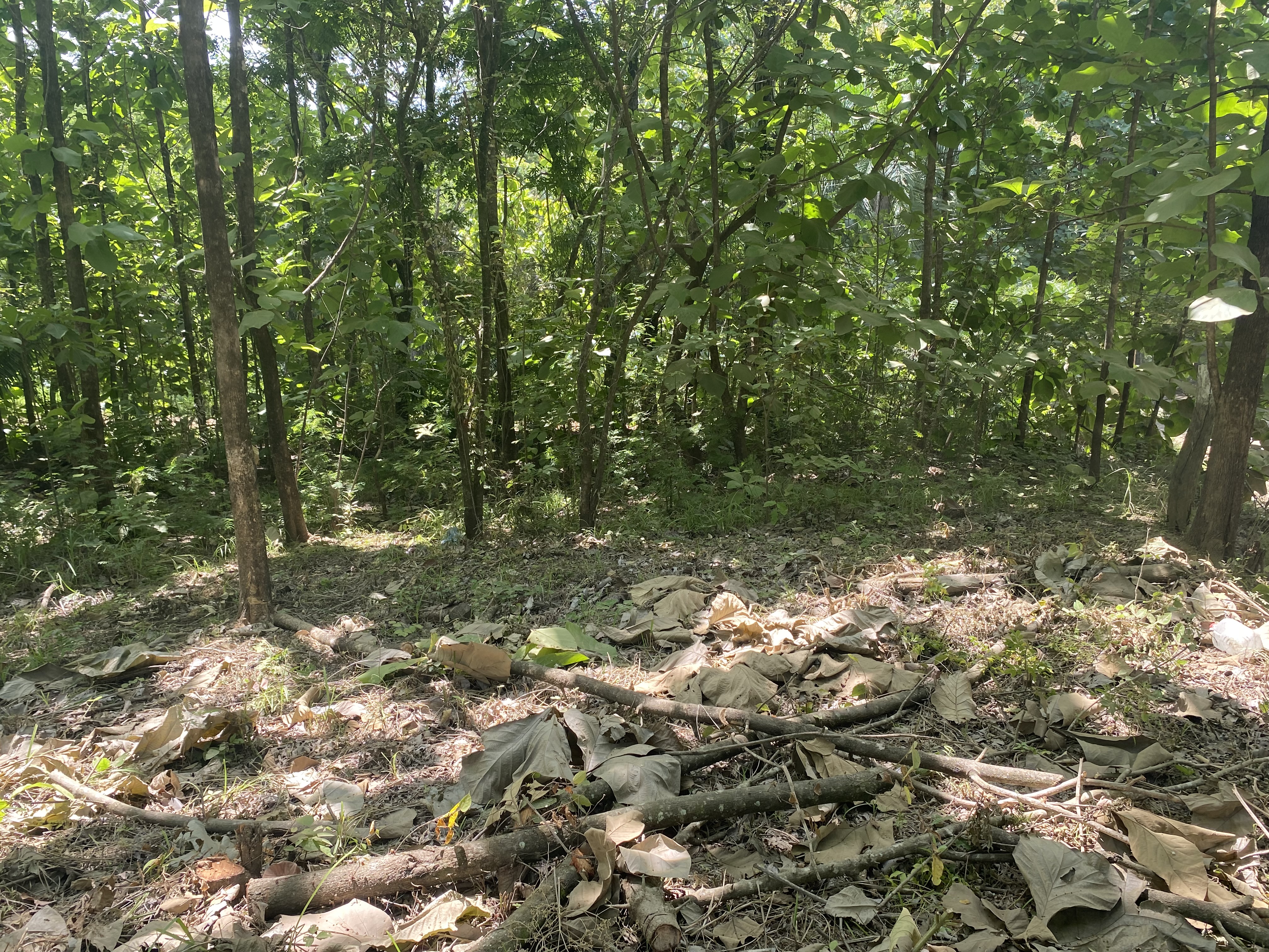 0 bed Land For Sale in Marbella, Guanacaste - thumb 9