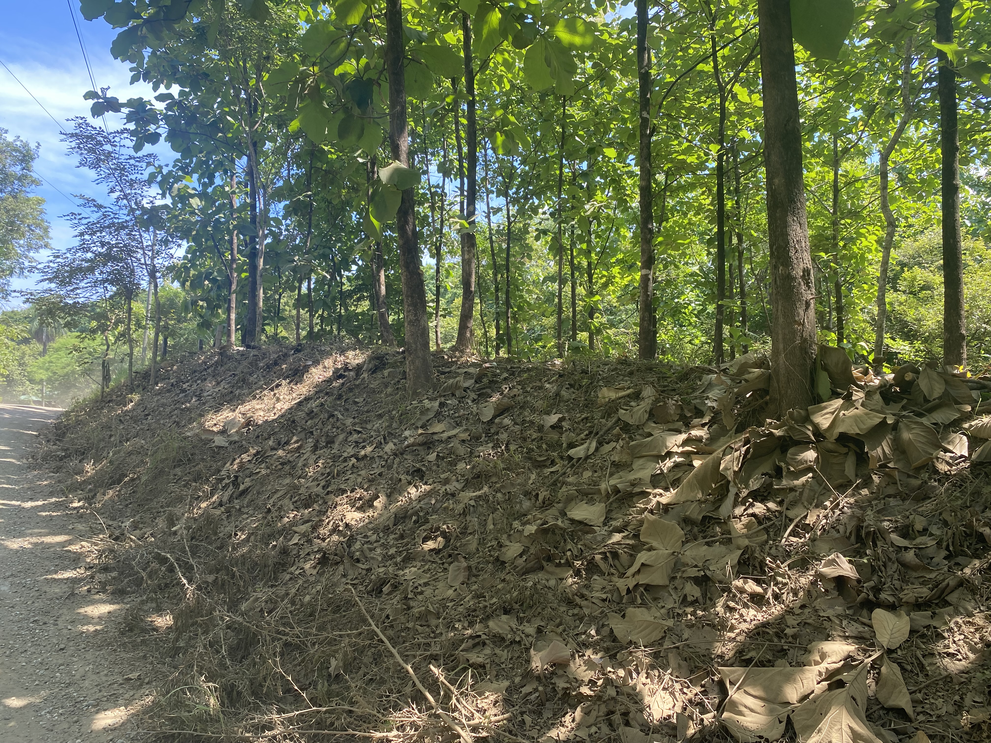 0 bed Land For Sale in Marbella, Guanacaste - thumb 4