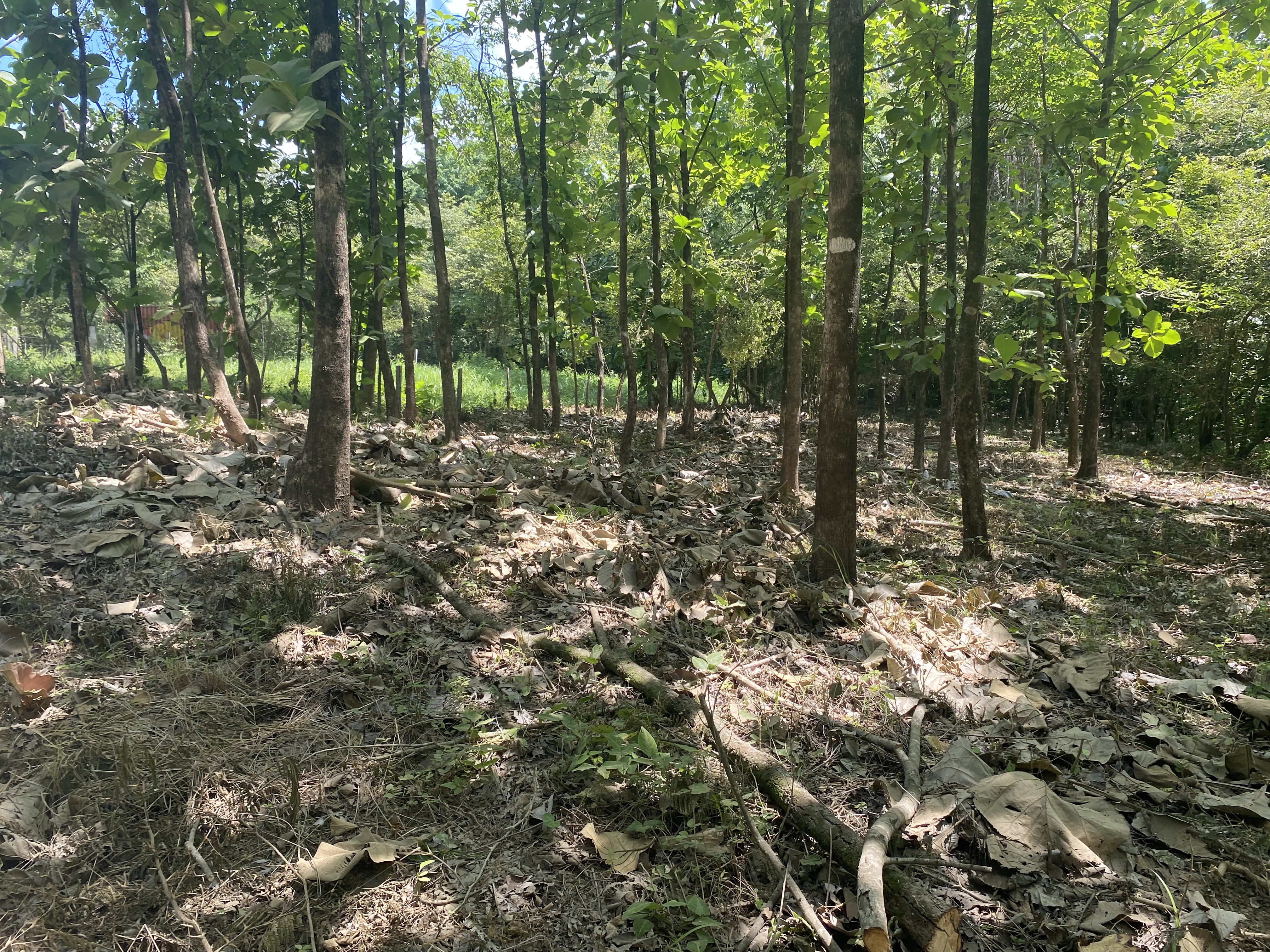 0 bed Land For Sale in Marbella, Guanacaste - thumb 8