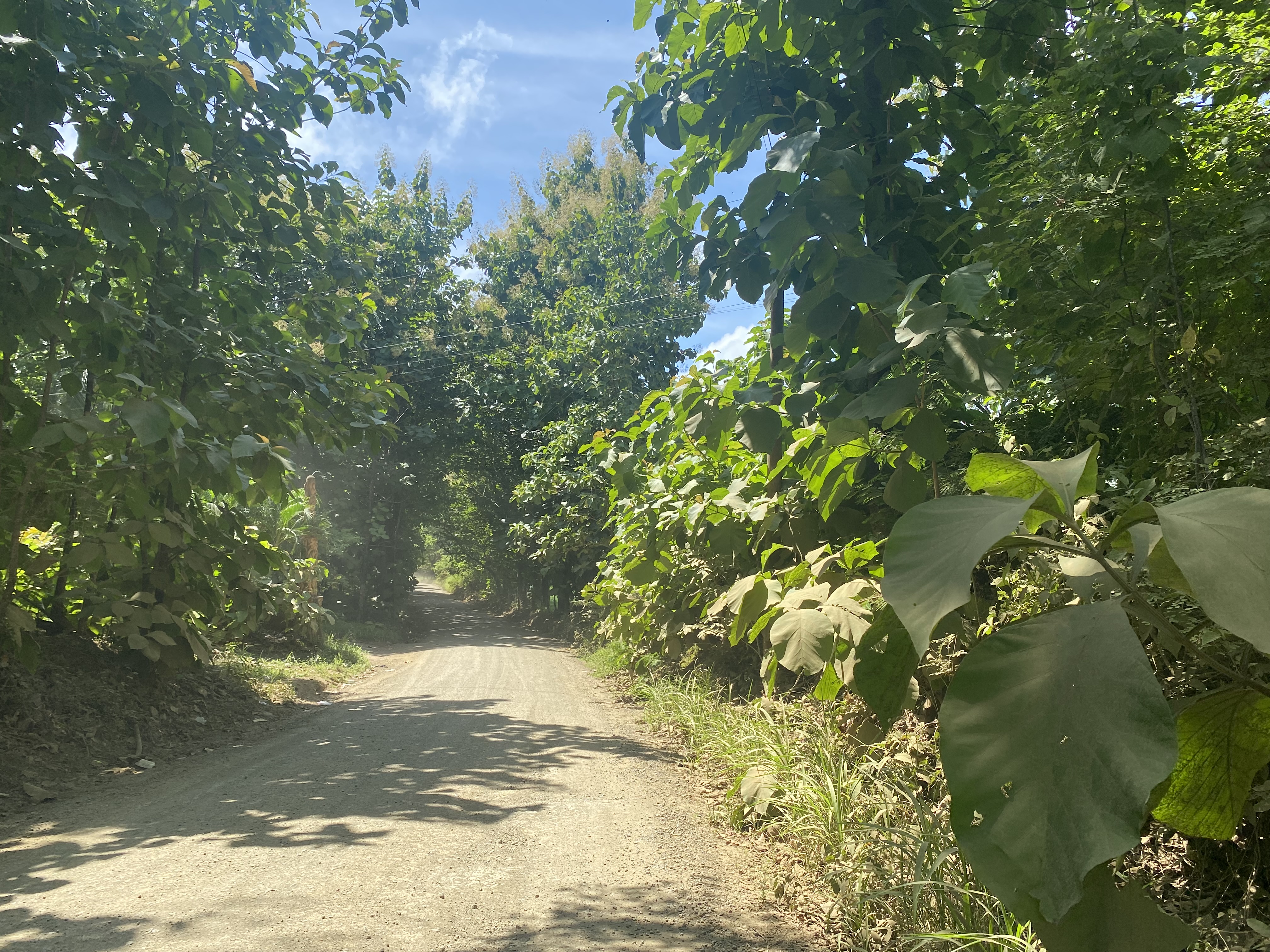 0 bed Land For Sale in Marbella, Guanacaste - thumb 3