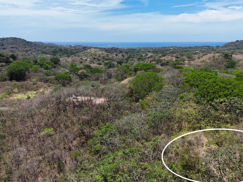 0 bed Land For Sale in Nosara, Guanacaste - 1