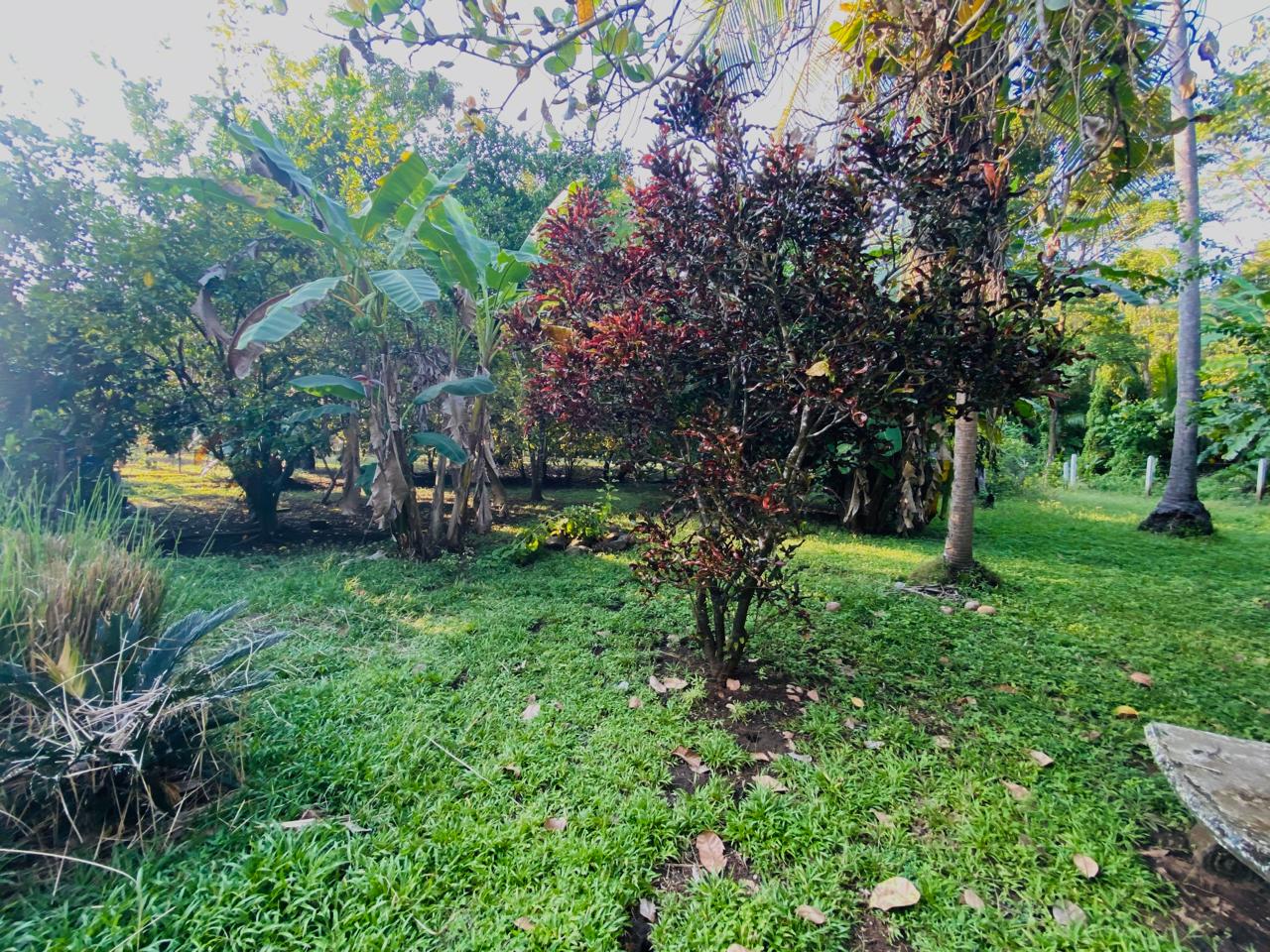 0 bed Land For Sale in Playa San Miguel, Guanacaste - thumb 15