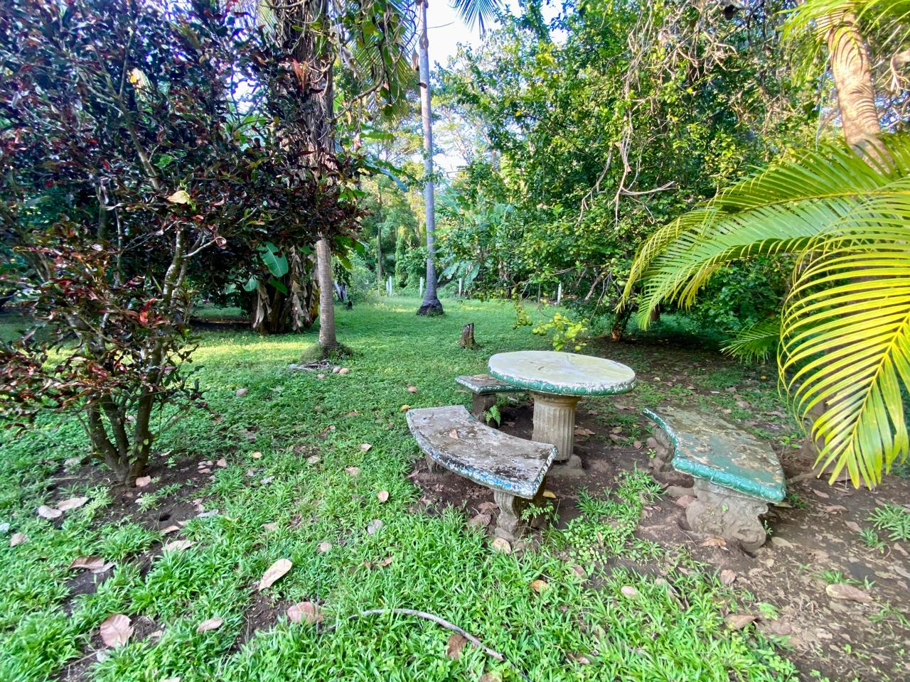0 bed Land For Sale in Playa San Miguel, Guanacaste - thumb 14