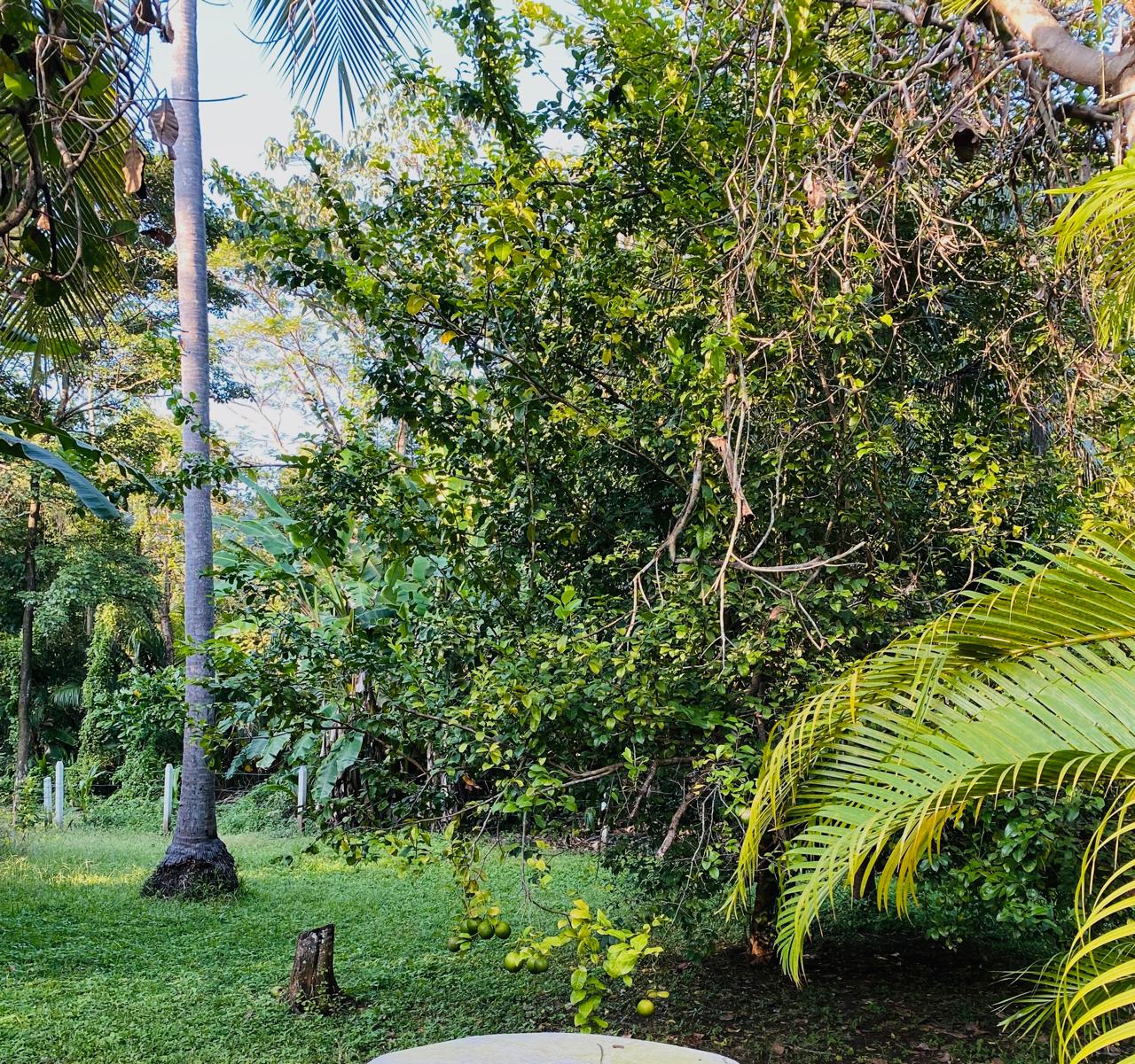 0 bed Land For Sale in Playa San Miguel, Guanacaste - thumb 12