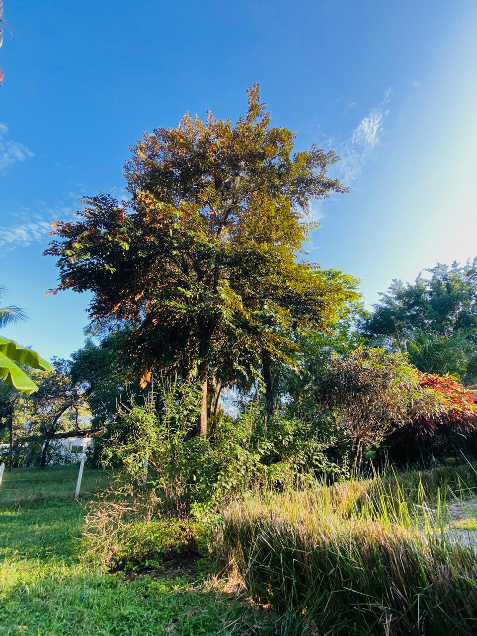 0 bed Land For Sale in Playa San Miguel, Guanacaste - thumb 9
