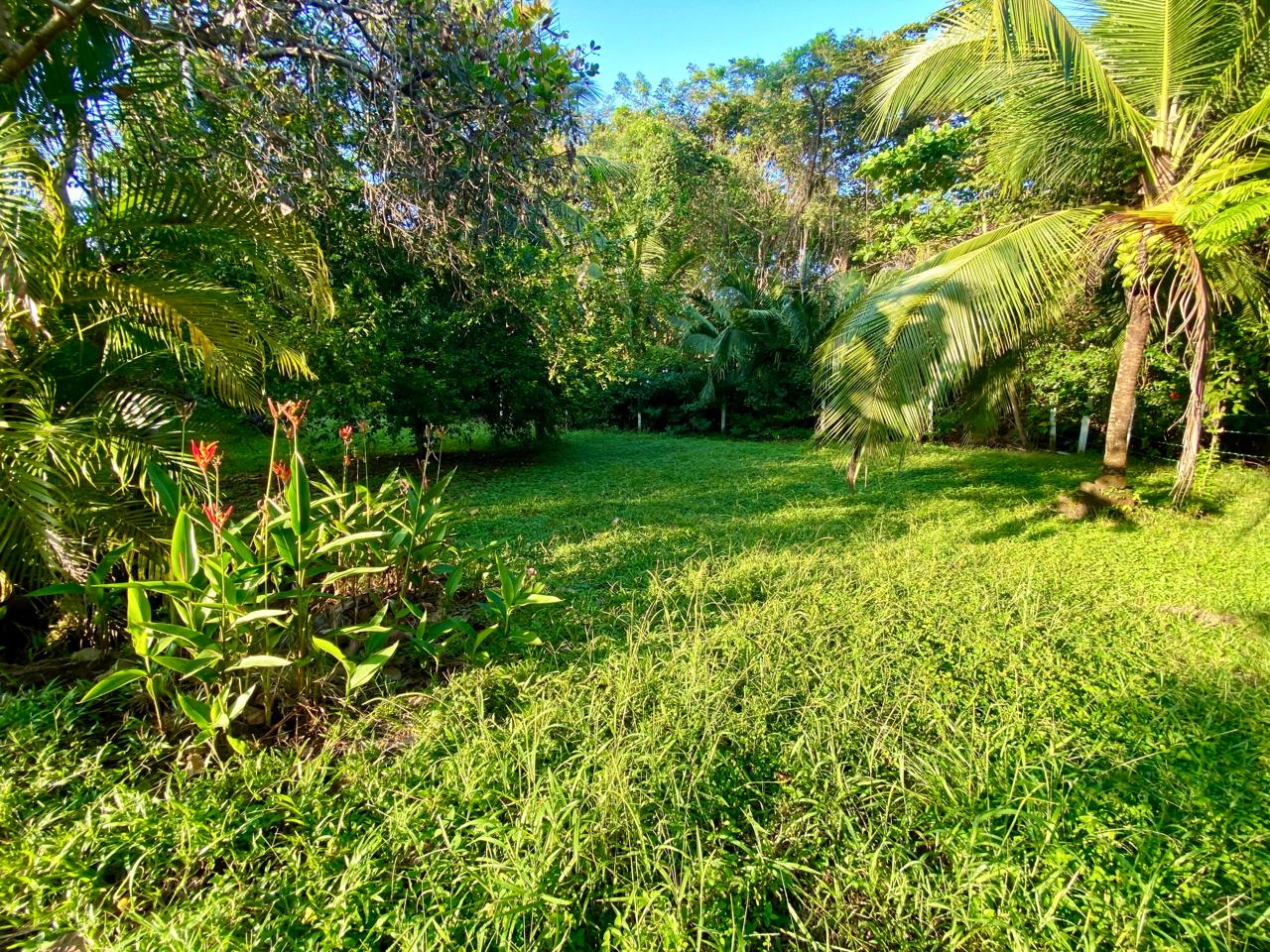 0 bed Land For Sale in Playa San Miguel, Guanacaste - thumb 18