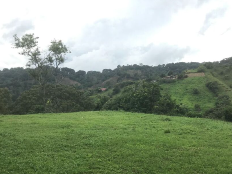 0 bed Land For Sale in Atenas, Alajuela - 1