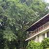  - Own Titled Beachfront Property - Steps from Playa Mantas