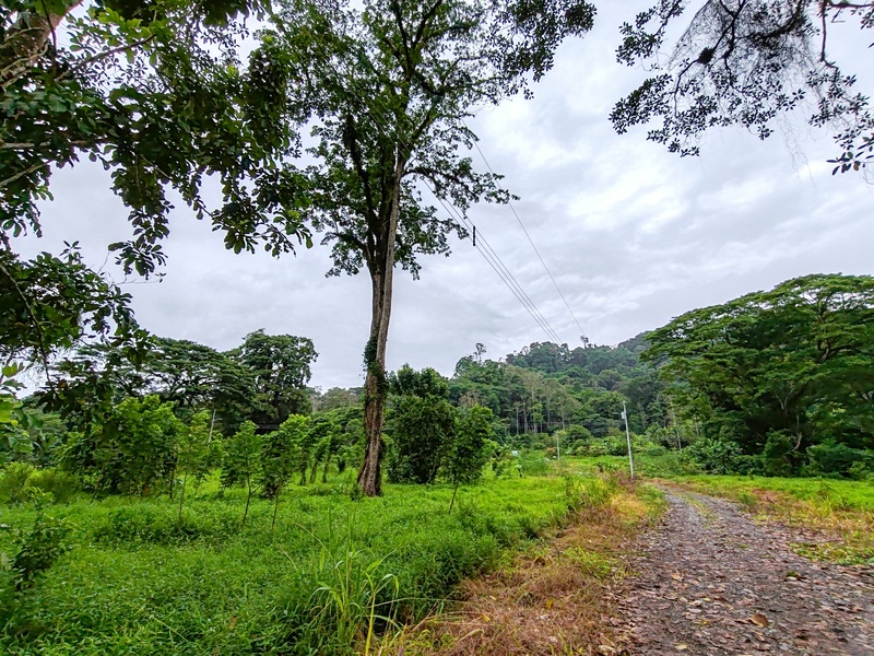 0 bed Land For Sale in Puerto Viejo, Limón - 1